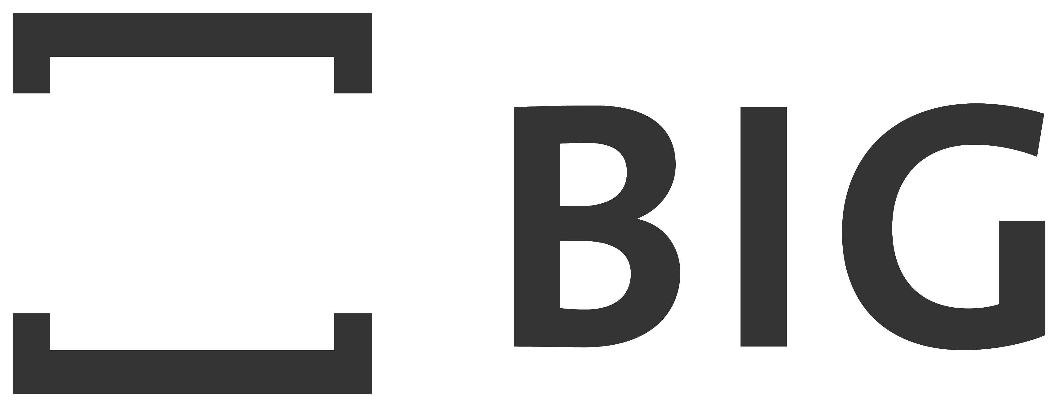 Logo BIG